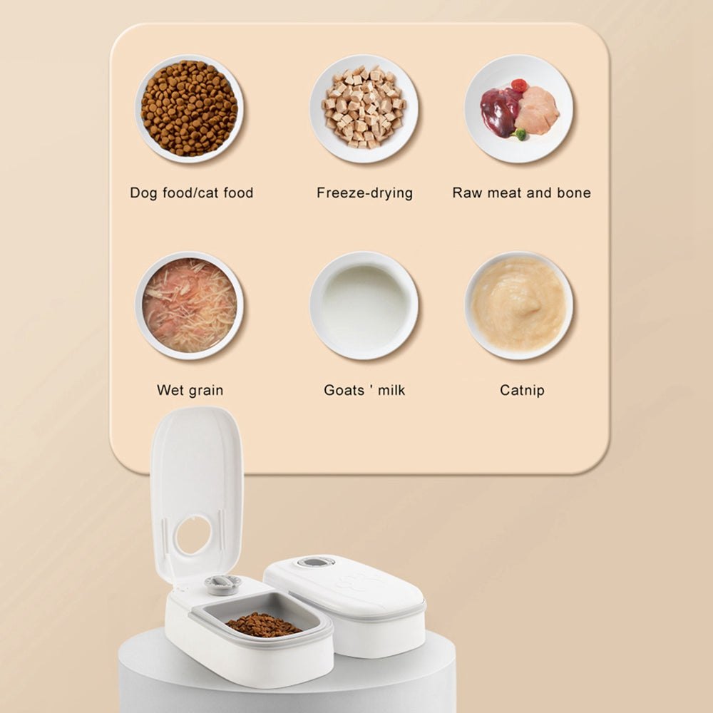 Smart pet food dispenser for cats and dogs with timer