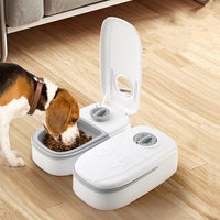 Automatic pet food dispenser with timer and stainless steel bowl